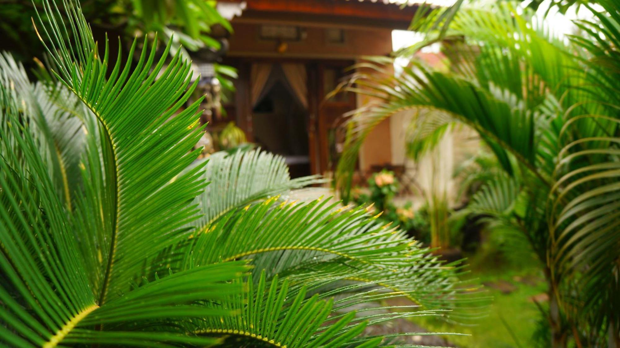Rumahku Homestay Amed Dış mekan fotoğraf